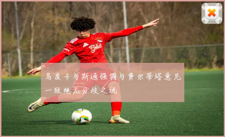 乌度卡与斯通强调与费尔蒂塔意见一致绝无分歧之说