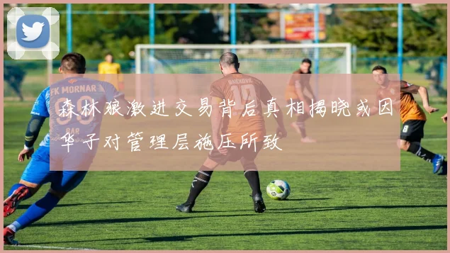 森林狼激进交易背后真相揭晓或因华子对管理层施压所致